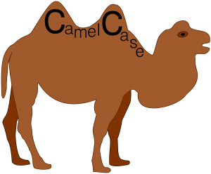Camel case naming system used in Visual studio